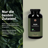 MSM Kapseln
